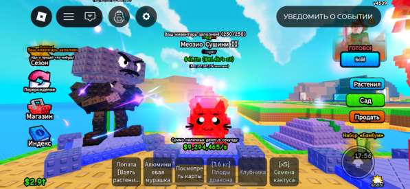 Меозио сушини 2