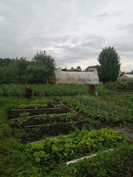 Продам дачный земельный участок в Ачинске фото 4