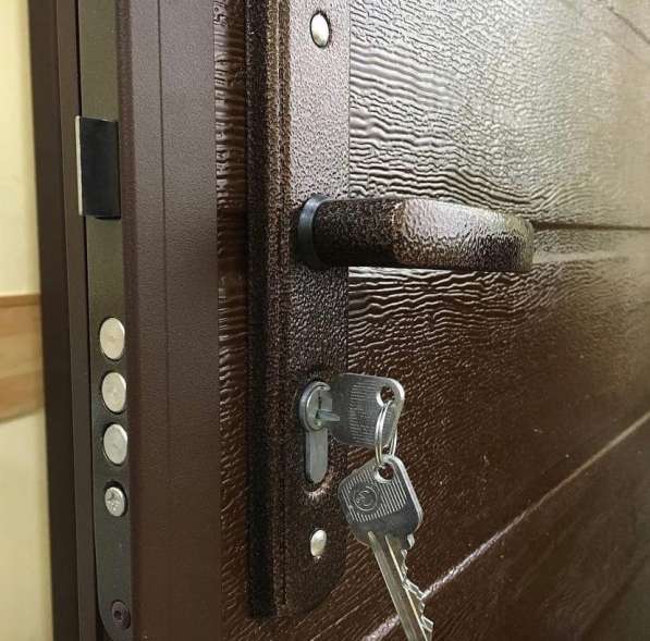 Дверь теплая из сендвич панелей в Омске фото 3