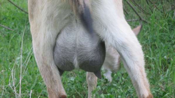 Регулятор температуры в Красноярске фото 4