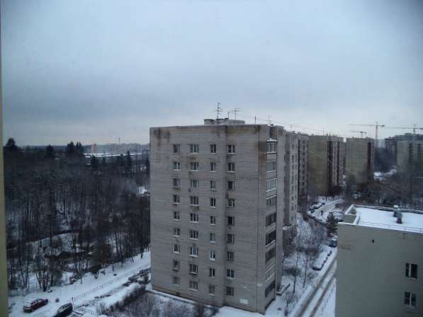 2 к. квартира, 54 кв. м, Оборонная ул. 2к5 в Санкт-Петербурге фото 5