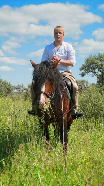 Конная прогулка в Красноярске фото 14
