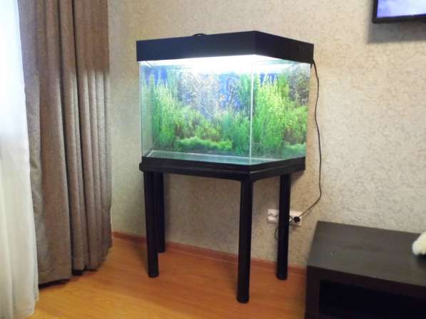 Продам аквариум в Екатеринбурге фото 3