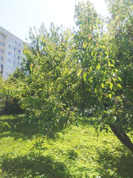 Продам земельный участок на ул. Радистов в Калининграде фото 5