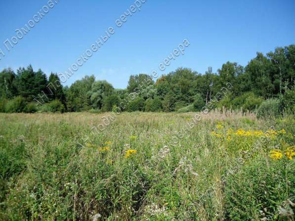 realty_mapper3.plot_in_locationИндивидуальное жилищное ст-во. Площадь 30.00 сот.Есть Электричество. в Москве фото 21