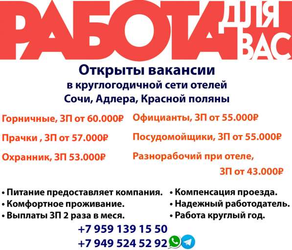 Работа круглый год в сети отелей Сочи Адлера