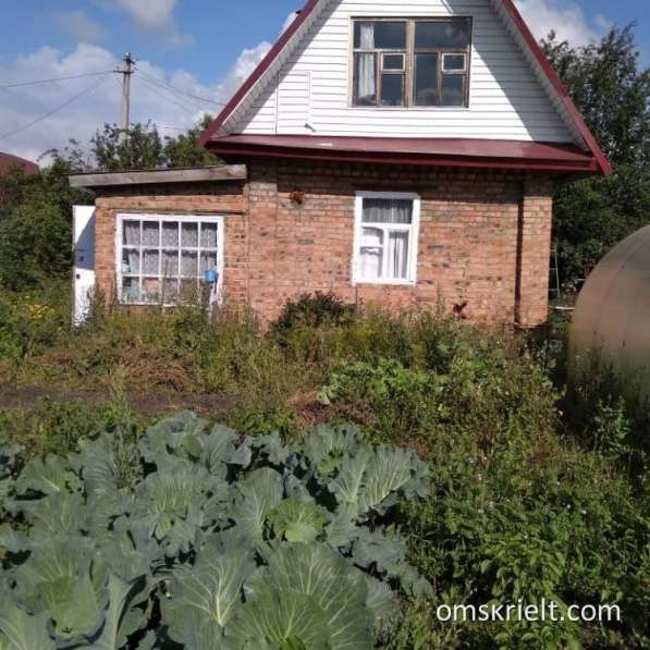 Срочно продам дачу в Омске фото 16