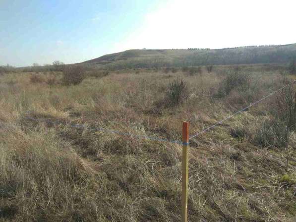 Продам земельный участок в с.Песчаное, Бахчисарайского район в Бахчисарае фото 5