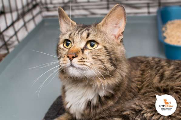 Почему Рекс решил уйти из шоу-бизнеса