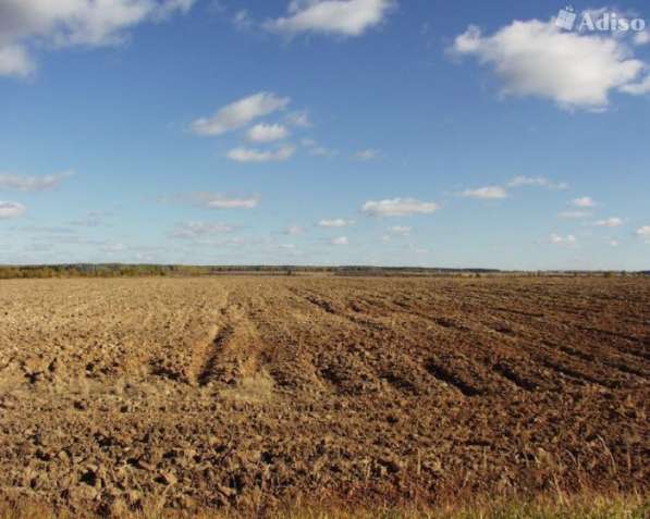 Продажа земли с/х назначения в Москве