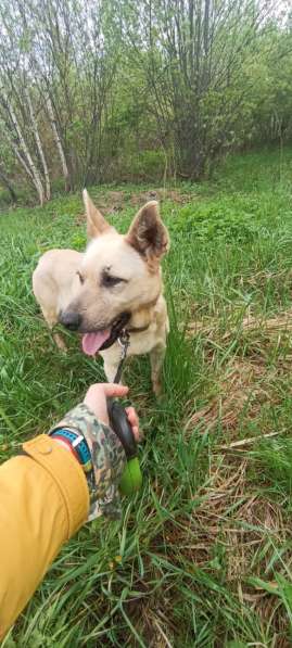 Фаичка ищет дом в Москве