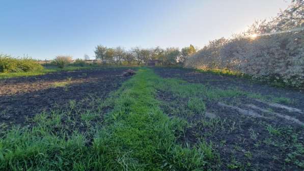 Продам дом в с. Воронец в Елеце фото 3