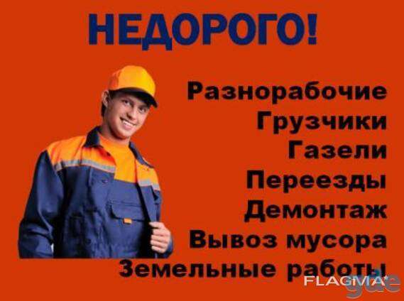 Услуги Разнорабочих; Подсобных; Грузчиков: Недорого! в Воронеже фото 6