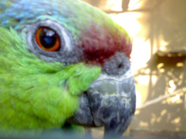 Менеджер по продажам в 