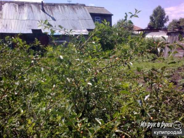 Продаю дачу на Кордоне в Барнауле фото 3