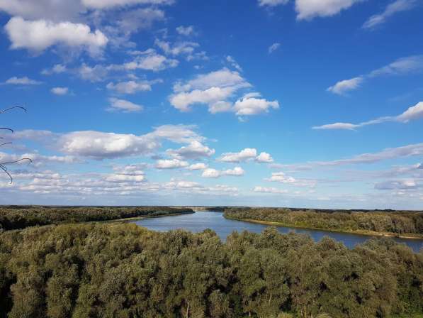 Земельный участок на берегу Дона в Иловле фото 3