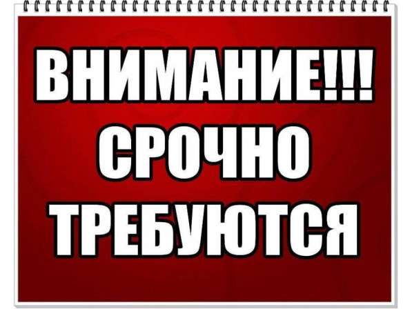 Набираю сотрудников для работы в сети Интернет
