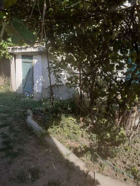 Продается дом в селе Успенка в фото 3