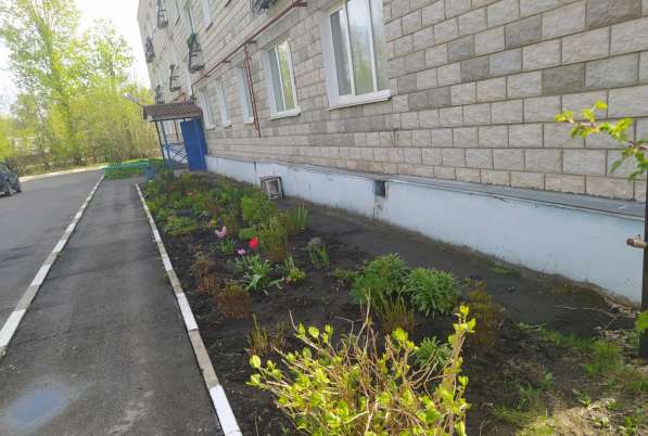 Меняем двушку на две отдельные квартиры в Узловой фото 13