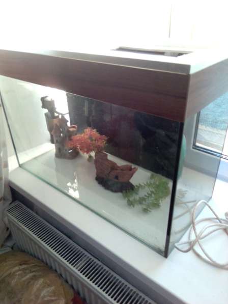 Продается аквариум в Санкт-Петербурге фото 4