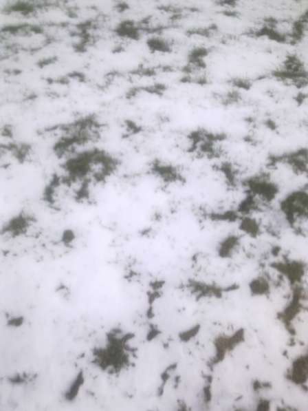 Антигололедный Реагент Айсе-Мелт 1уп.5кг. на 50м. Снег, Лед в Москве фото 8
