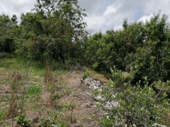 Land for sale in Lebanon, close to the sea, and quiet area в 