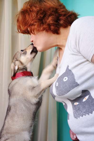 Великолепная Четверка в дар в Москве фото 52