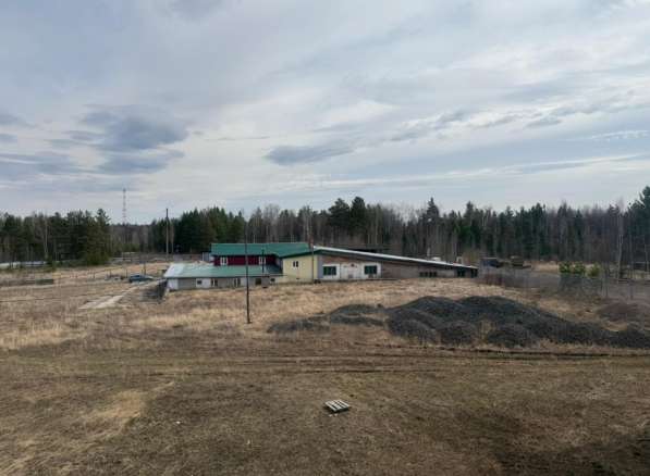 Ферма / Конюшня / Эко-хозяйство в Красноярске