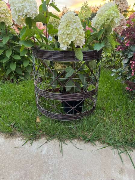 Кустодержатель