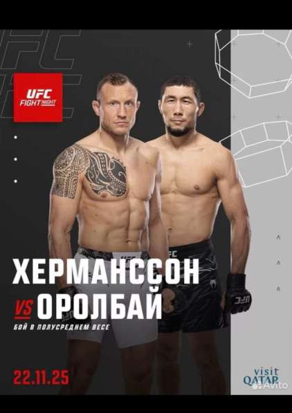 UFC 2 билета Катар Доха 22 ноября в