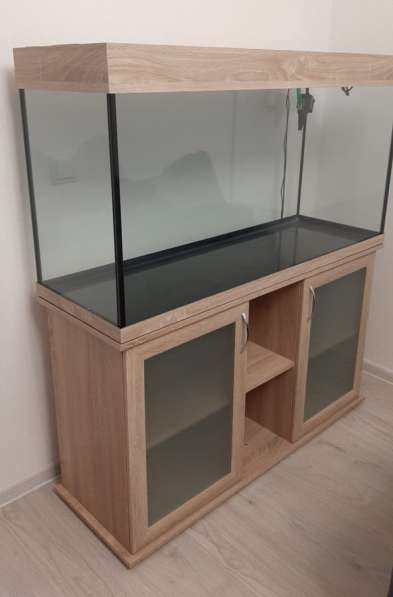 Аквариум в Санкт-Петербурге фото 3