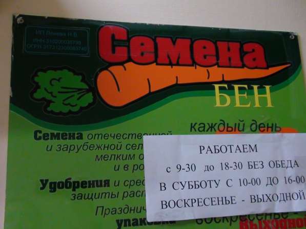 Лук-севок ШТТУТГАРТЕН-РИЗЕН