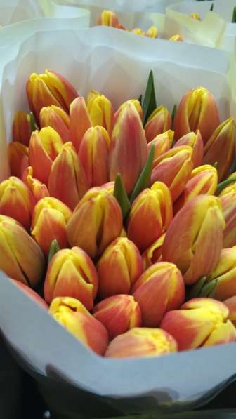 Тюльпаны к 8 марта! в Улан-Удэ фото 7