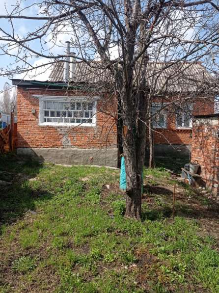 Продам дом по ул. Советская в Липецке фото 3