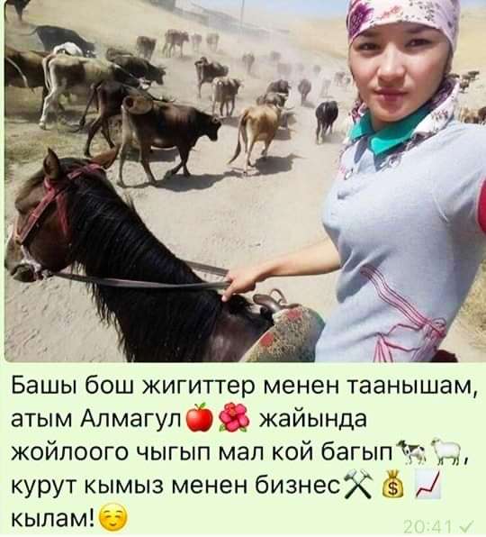 Али, 49 лет, хочет пообщаться в 