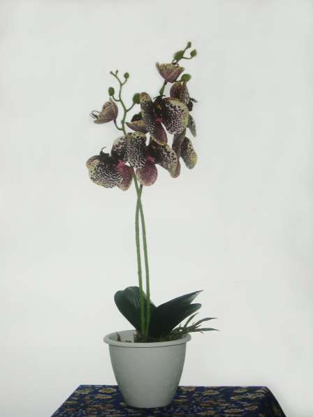 Растения интерьерные искусственные (цветы орхидеи) в Коврове в Коврове фото 3