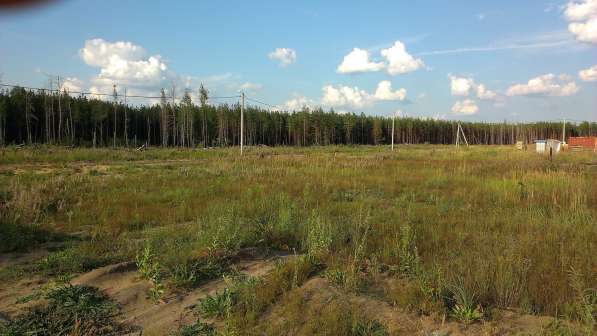 Участок 12,6 сот ИЖС Изумрудный в Воронеже фото 9