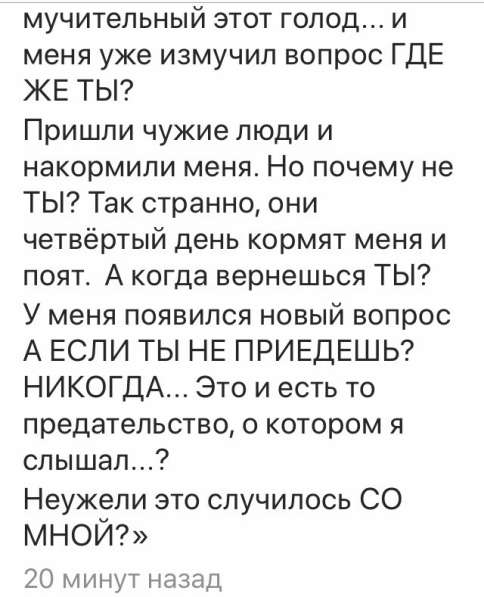 СОБАКА, ищу доброго и ответственного хозяина в Сочи фото 8