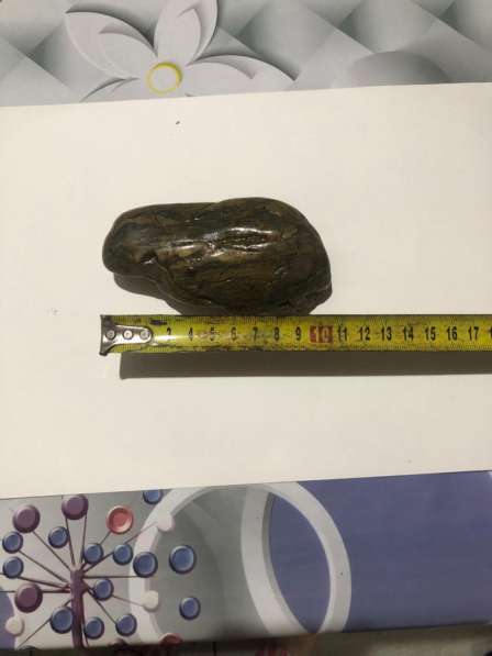 Натуральный камень, окаменелости в Гулькевичах фото 7