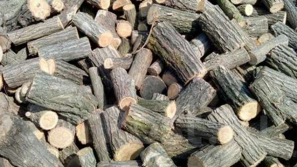 Дрова дуб ясень