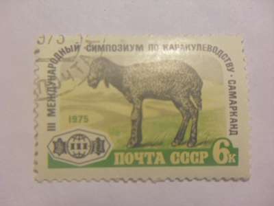 Марка 6к 1975 год СССР Каракулеводство Самарканд в Москве фото 3