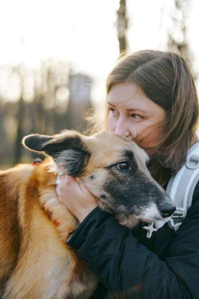 Принцесса Сента ищет дом! в Москве фото 9