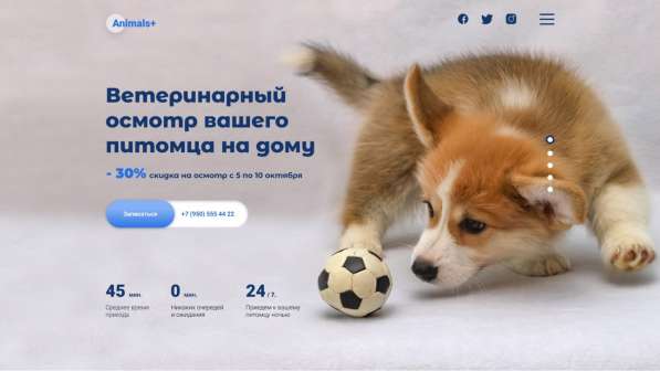 Разработка логотипа, сайта в Воронеже фото 4