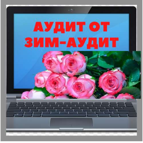 Проведем аудиторскую проверку! в Москве фото 6