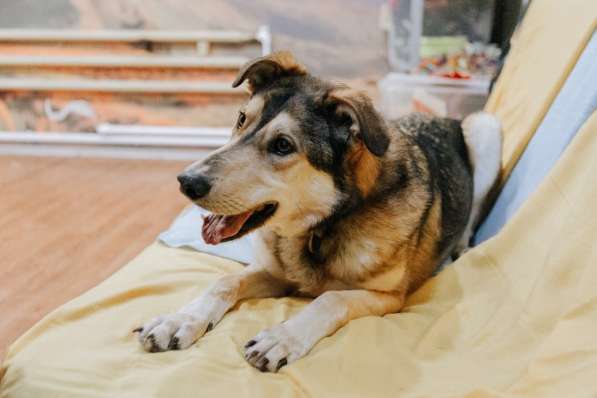 Нежнющий Купер в Москве фото 34