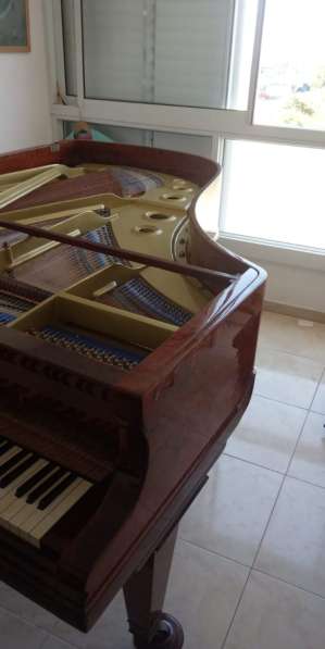 Продам рояль Bluthner германия, антиквариат, раритет в фото 3