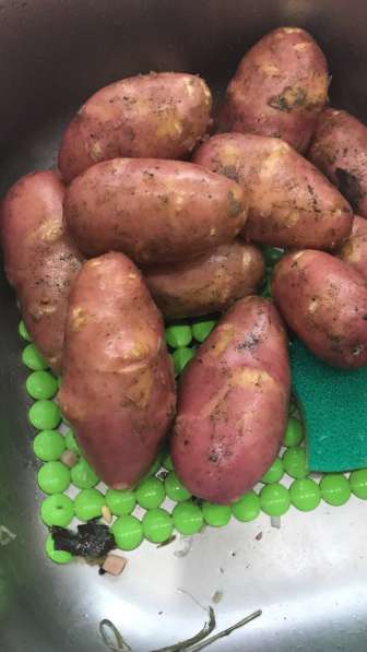 Продам картофель новый урожай в Нижнем Новгороде