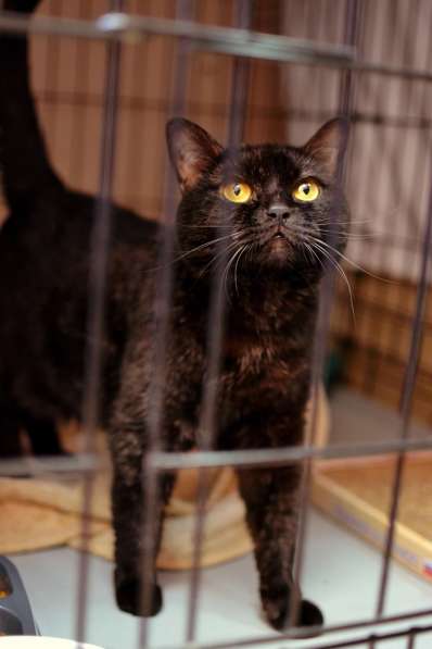 Добрая Ульяна ищет понимающего, душевного человека в Москве фото 4