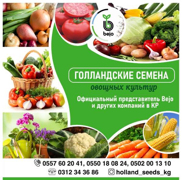 Голландские семена овощных культур в 