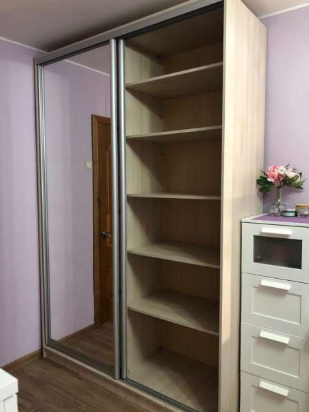 Шкаф-купе 160 х 240 х 58 в Москве фото 3
